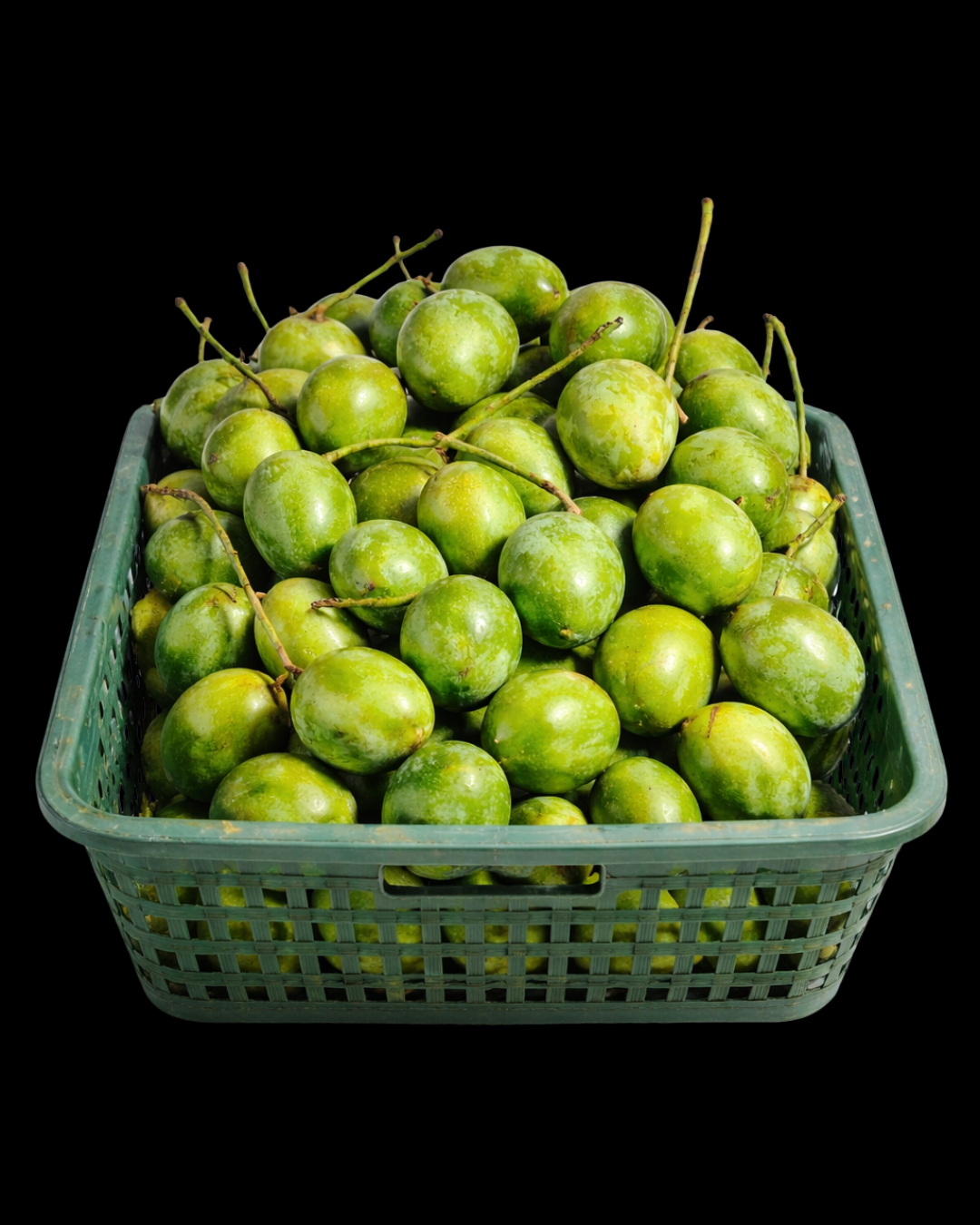Untitled design (5).png